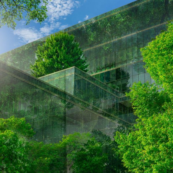 Selective,Focus,On,Tree,And,Eco,Friendly,Building,With,Vertical